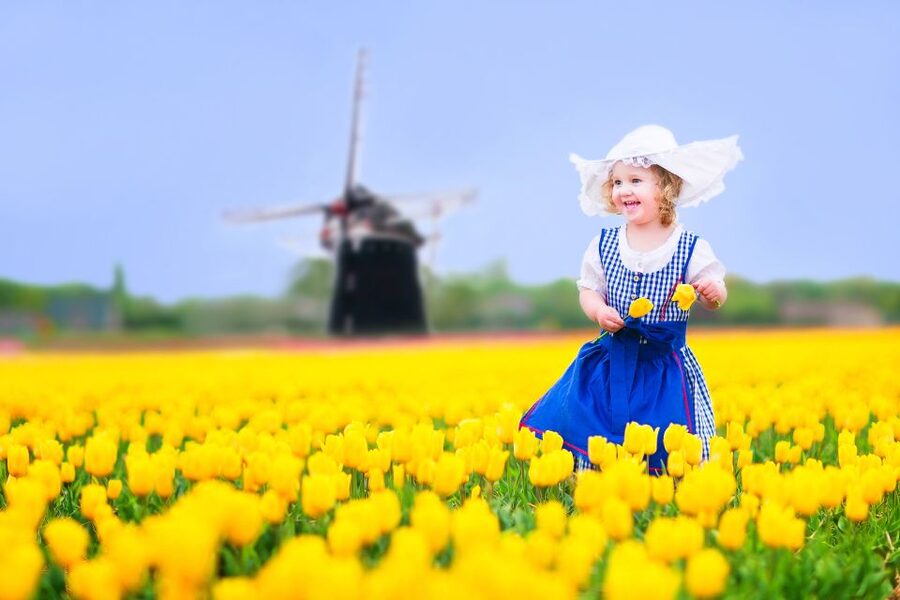 Magical Delft and the Keukenhof Estate: Tulips Galore - What three hours at Keukenhof gives you