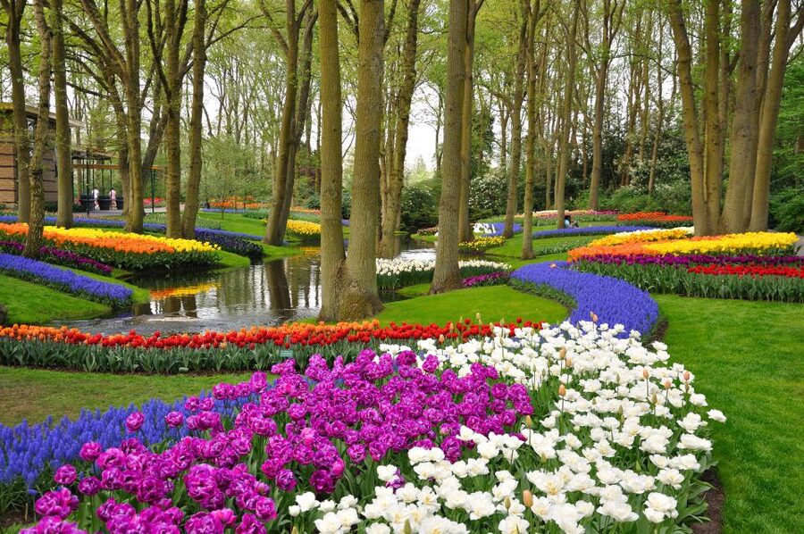 Magical Delft and the Keukenhof Estate: Tulips Galore - Who should choose this day trip?