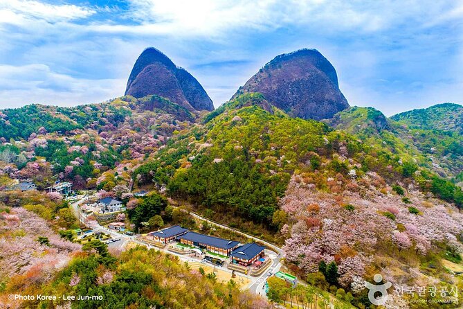 Maisan Cherry Blossom and Jeonju Hanok Village - Key points to know before booking