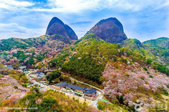 Maisan Cherry Blossom and Jeonju Hanok Village - Who will enjoy this day most