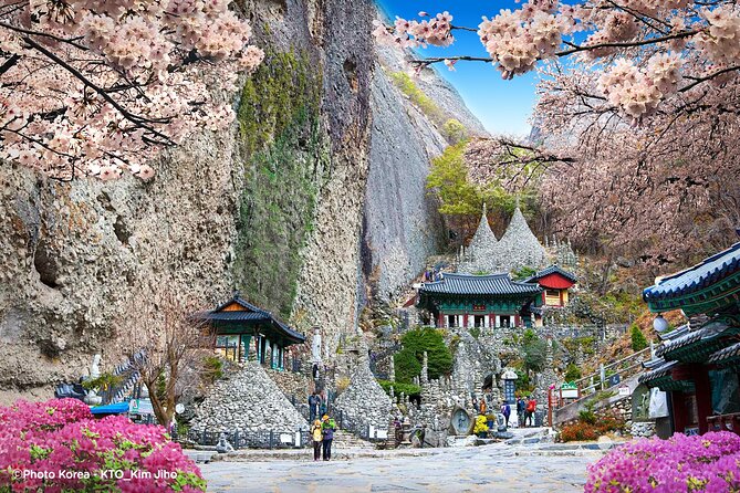 Maisan Cherry Blossom and Jeonju Hanok Village - The early road to Maisan Mountain