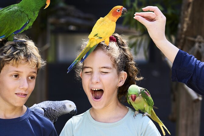 Maleny Botanic Gardens Bird Aviary Experience Ticket - Meeting the birds at Maleny Botanic Gardens