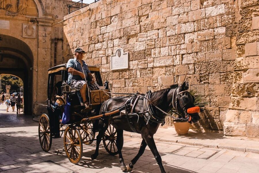 Malta: Mdina, Dingli Cliffs and San Anton Botanical Gardens - How the four-hour schedule feels