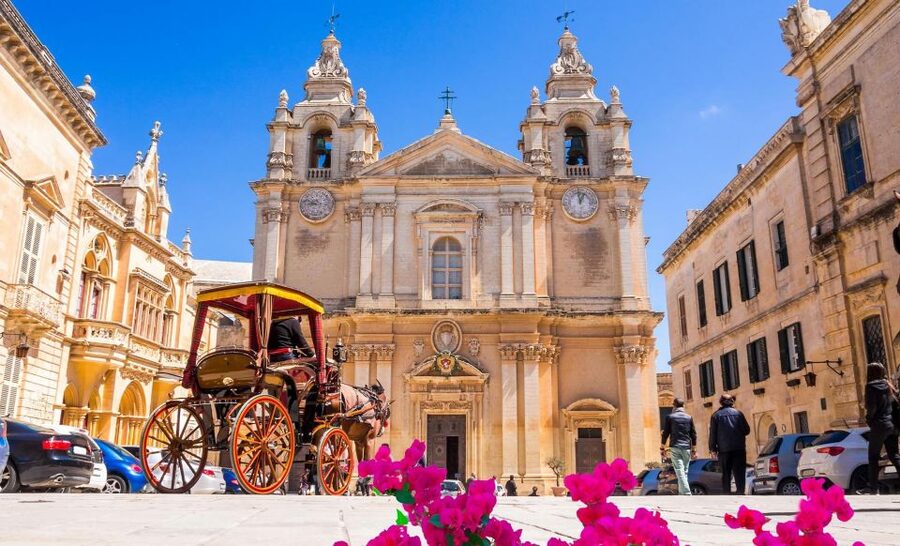 Malta: Mdina, Dingli Cliffs and San Anton Botanical Gardens - Pickup details that can affect your morning