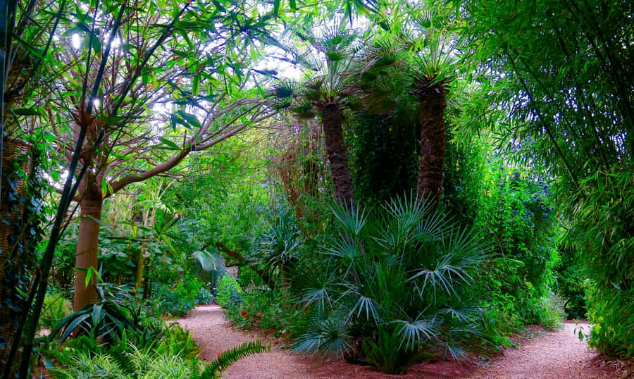 Marrakech: André Heller's ANIMA Garden Ticket - Small practical details that matter