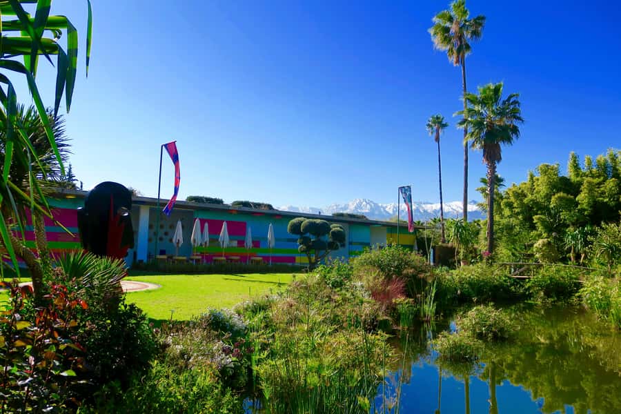 Marrakech: André Heller's ANIMA Garden Ticket - Art, plants, and the pleasure of slow looking