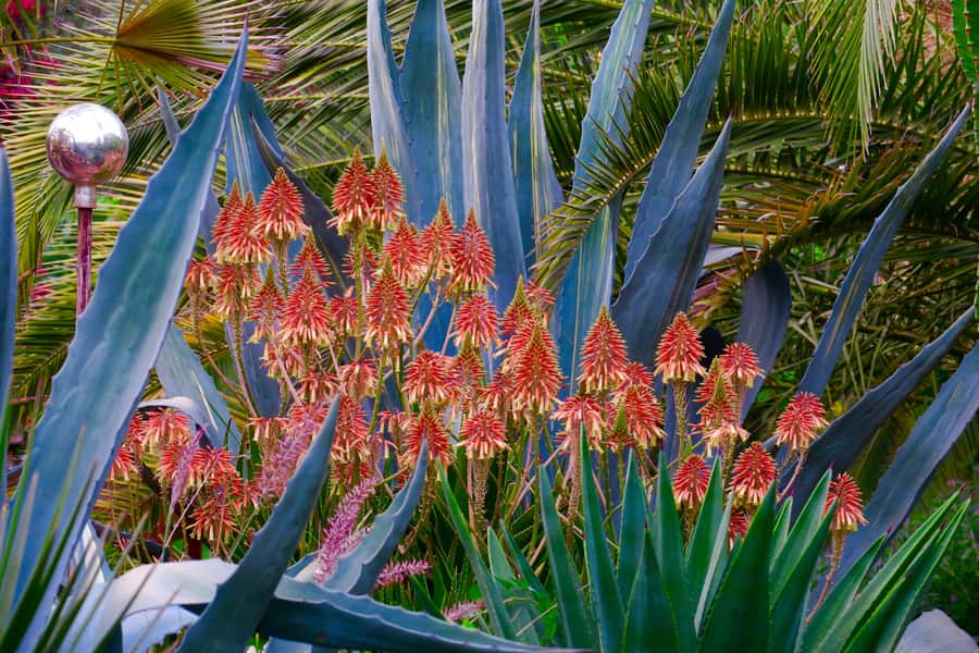 Marrakech: André Heller's ANIMA Garden Ticket - Taking a break at the café