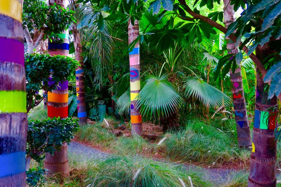 Marrakech: André Heller's ANIMA Garden Ticket - How much time should you allow?
