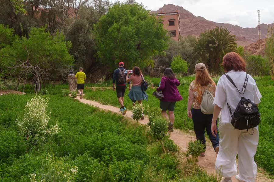 Marrakech: Anima Garden, Saffron Farm and Ourika Valley Trip - Is $115 good value?