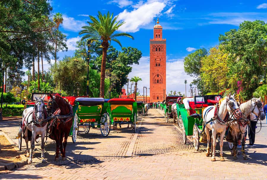 Marrakech: Bahia Palace, Madrasa Ben Youssef & Secret Garden - Mellah adds another layer to the old city