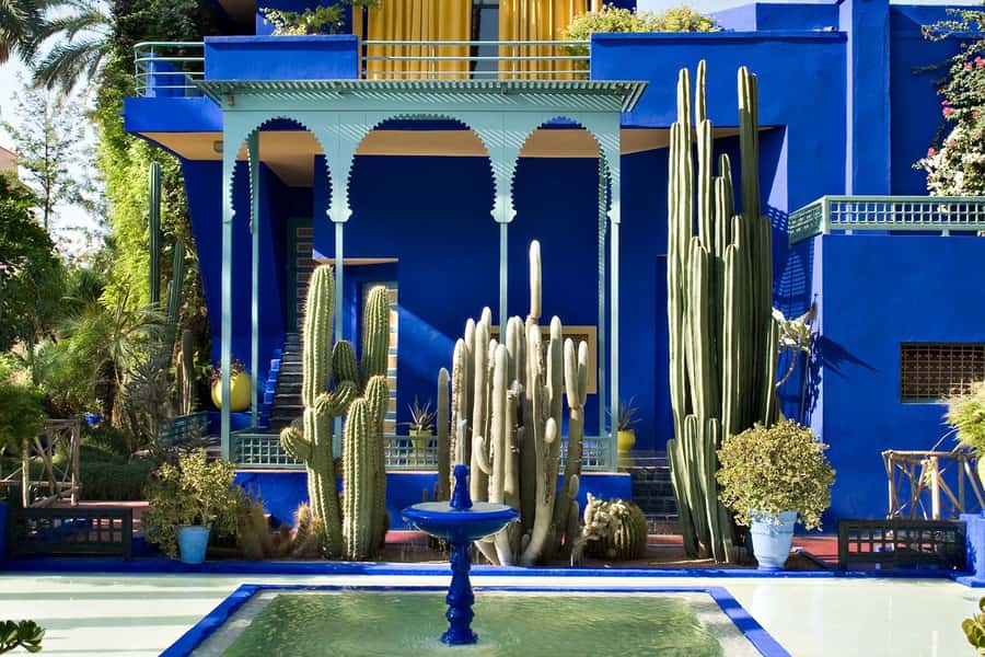 Marrakech: Majorel Garden, Camel ride in Palmerai, City trip - A blue beginning at Majorelle Garden