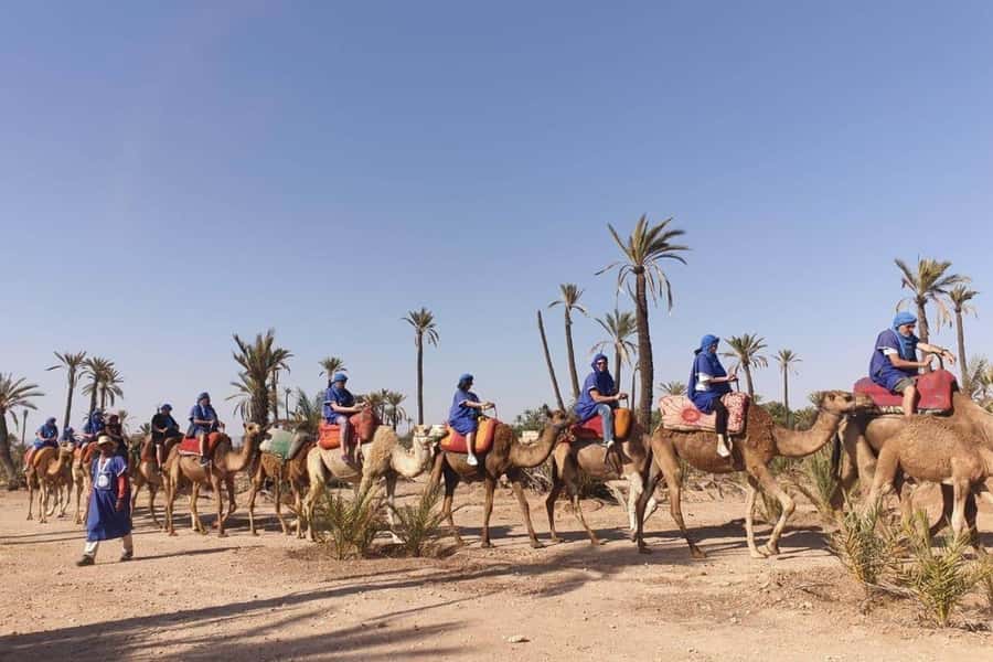 Marrakech: Majorel Garden, Camel ride in Palmerai, City trip - From city streets to the Palmeraie