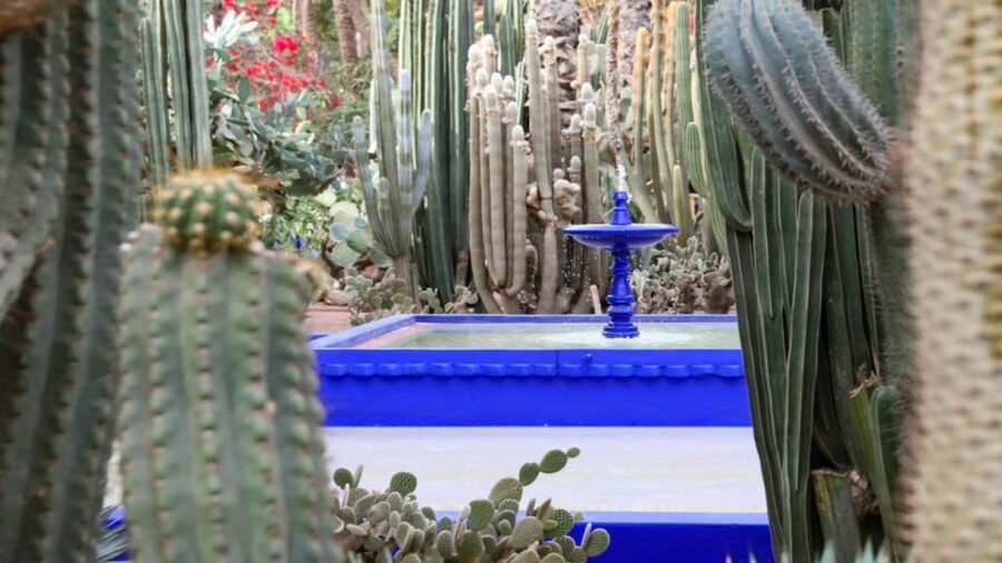 Marrakech: Majorelle Garden Entry Tickets Online - A short history, from Jacques Majorelle to Yves Saint Laurent