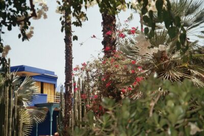 Majorelle Garden Entry Tickets Online