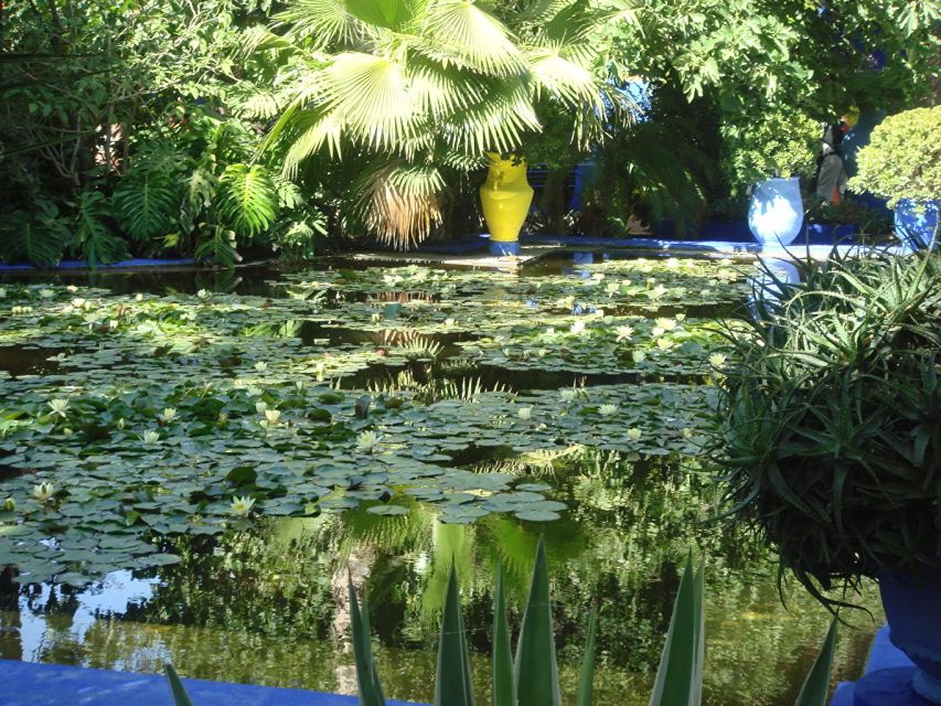 Marrakech: Majorelle Garden Entry Tickets Online - Why timing changes the experience