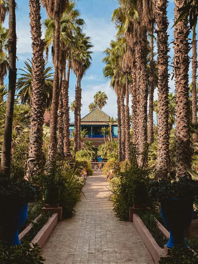 Marrakech: Majorelle Garden, Museums Tickets, & Audio Guide - What the YSL Museum adds to the day