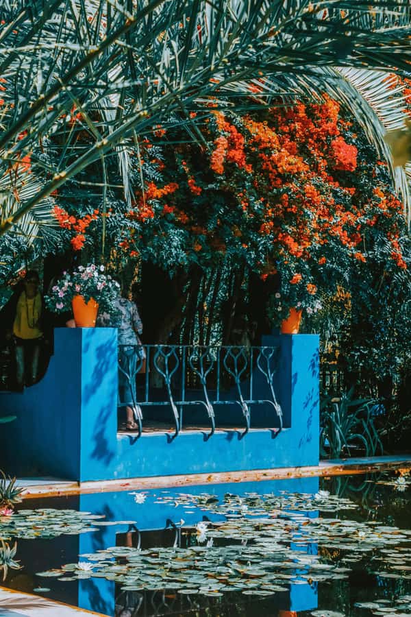 Marrakech: Majorelle Garden, Museums Tickets, & Audio Guide - Is $68 good value for one day?