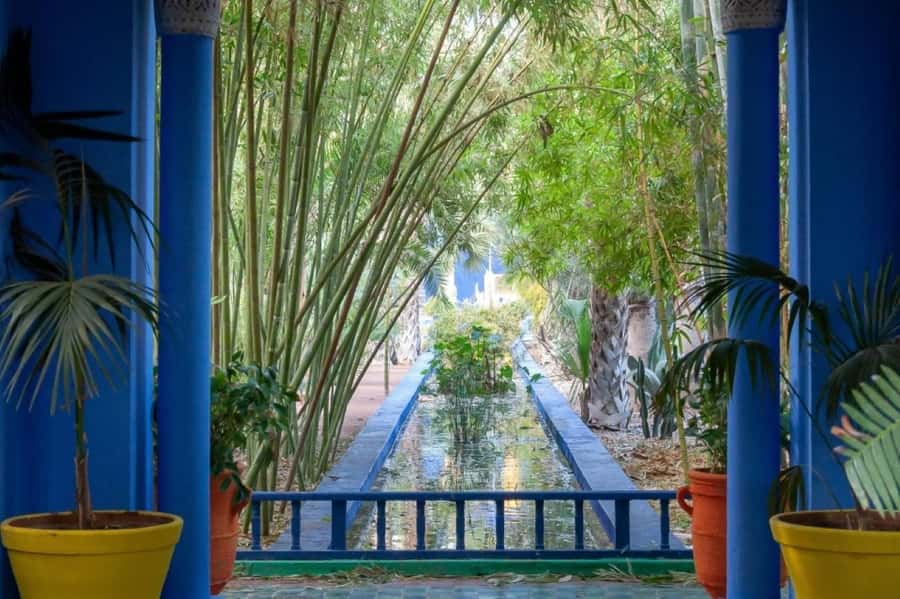 Marrakech: Majorelle Garden, Museums Tickets, & Audio Guide - Inside the blue walls of Majorelle Garden