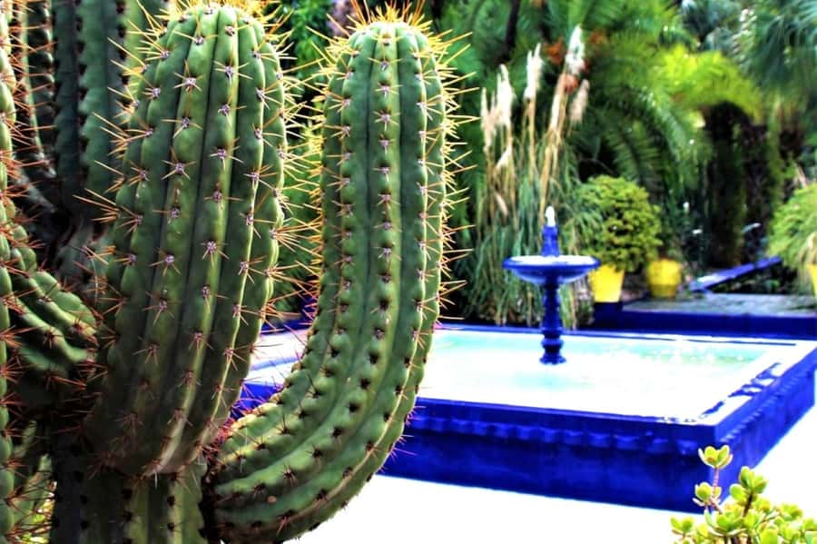 Marrakech: Majorelle Garden with a Digital Audio Guide App - Jacques Majorelle’s original garden