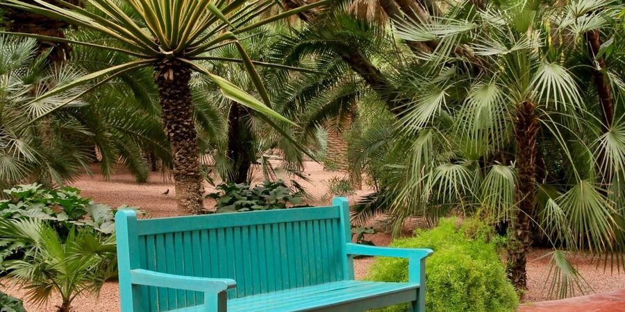 Marrakech: Majorelle Garden, YSL, and Berber Museum Entry - Who will enjoy this visit most?