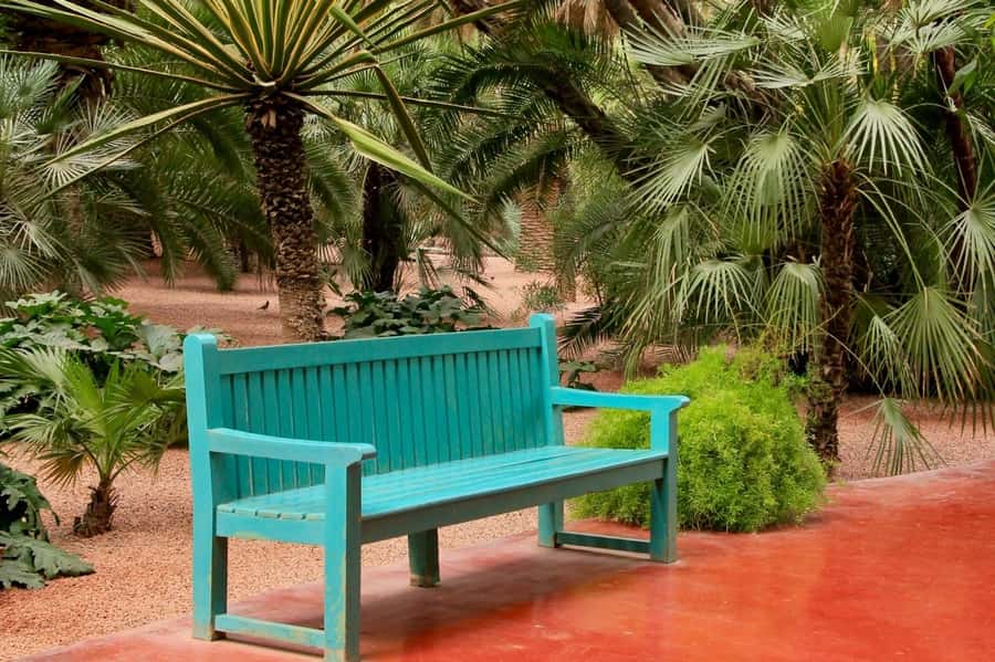 Marrakech: Majorelle Garden, YSL, and Berber Museum Entry - Why the order matters