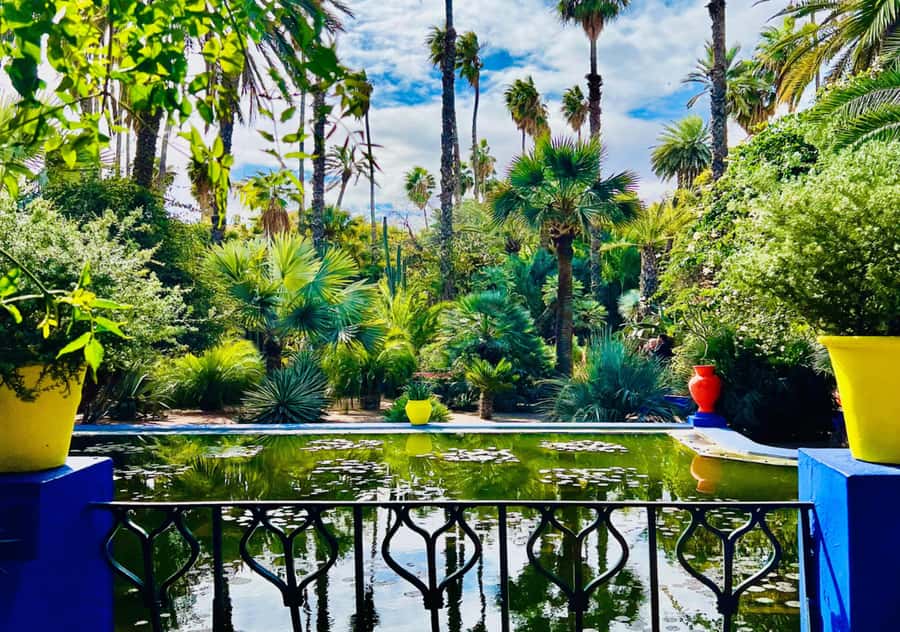 Marrakech: Majorelle & Menara Garden Tour and Carriage Ride - Why this half-day tour works well in Marrakech