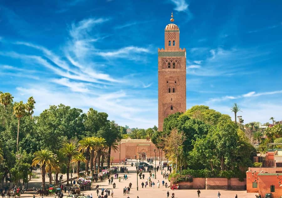 Marrakech: Majorelle & Menara Garden Tour and Carriage Ride - Who should book it