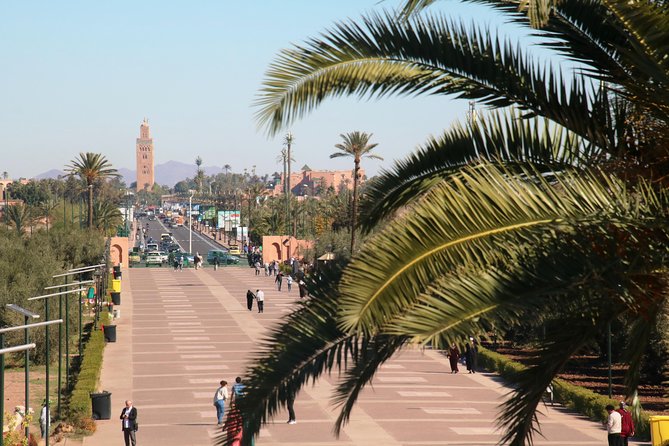 Marrakech Tour Gardens Majorelle, Menara & Anima Gardens - Booking tips and practical value