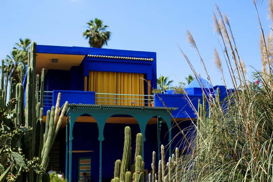 Marrakesh: Majorelle Garden Entry Tickets - Why Majorelle Garden works so well in Marrakesh