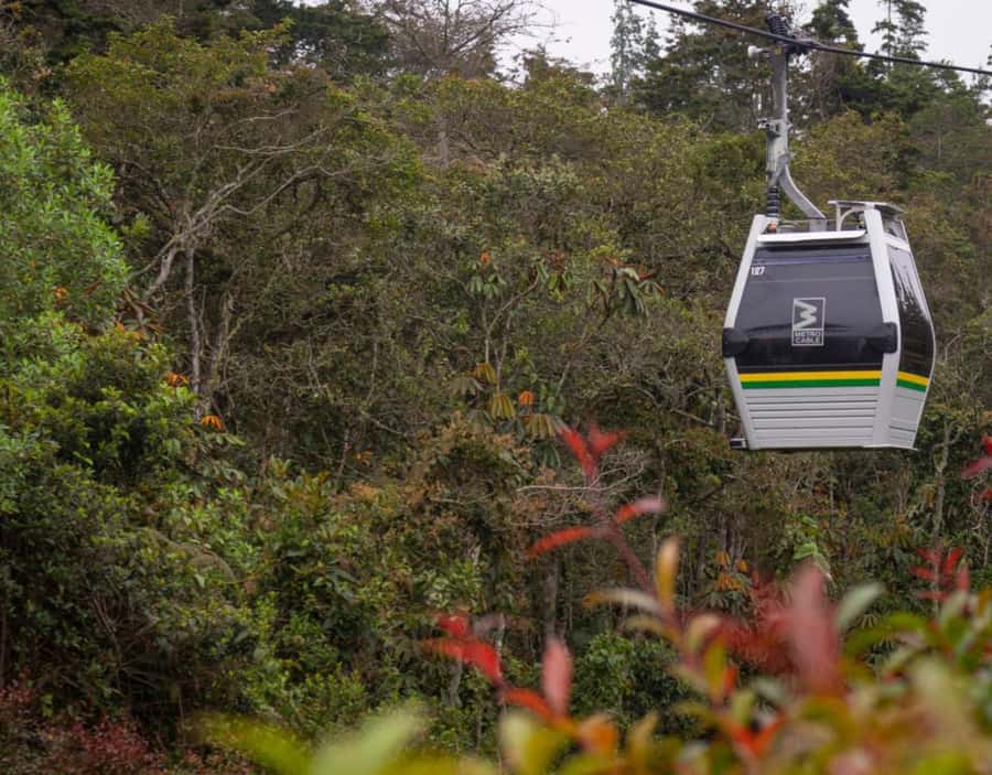 Medellín: Botanical Garden and Arvi Park City Tour - Key points to know before booking