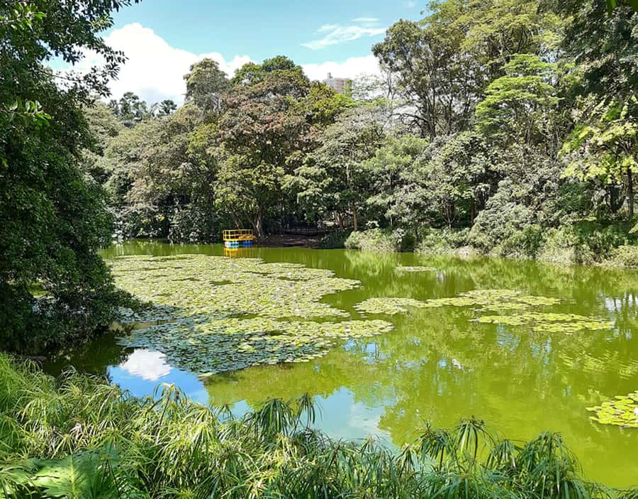 Medellín: Botanical Garden and Arvi Park City Tour - Guides can make this private tour much better