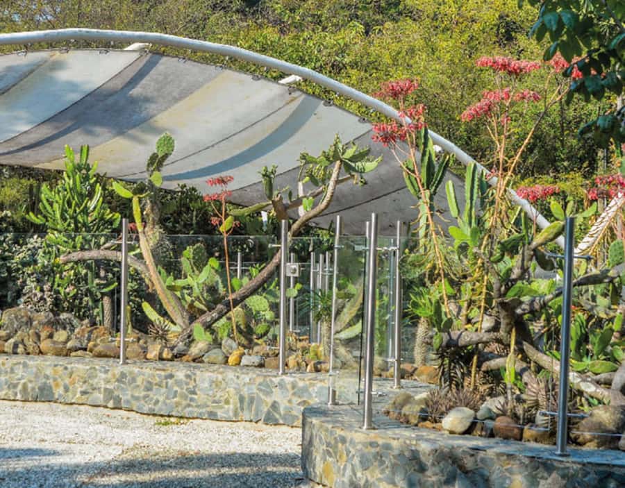 Medellín: Botanical Garden and Arvi Park City Tour - Weather, walking, and what to pack