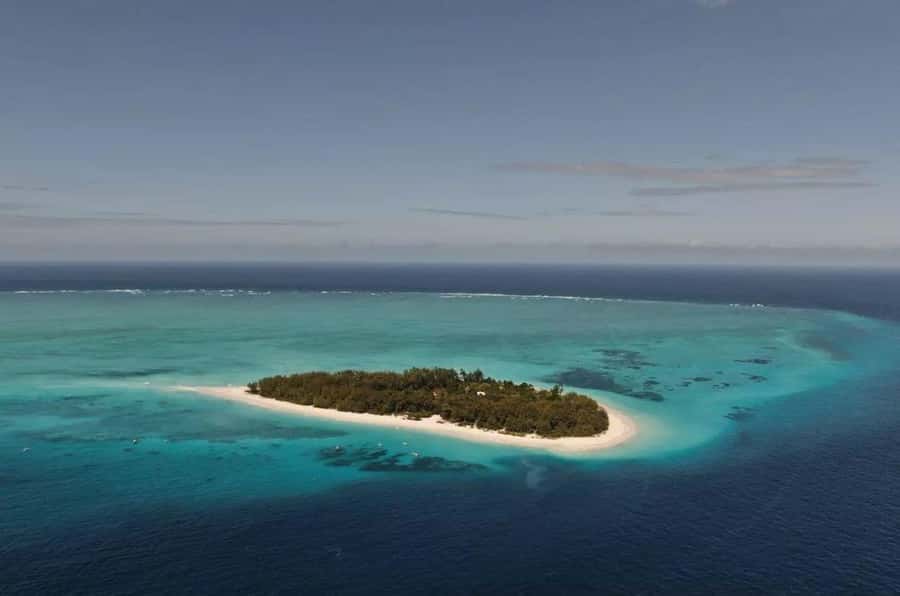 Mnemba Island, Prison Island, Secret Garden, Jozani Forest - Key points at a glance