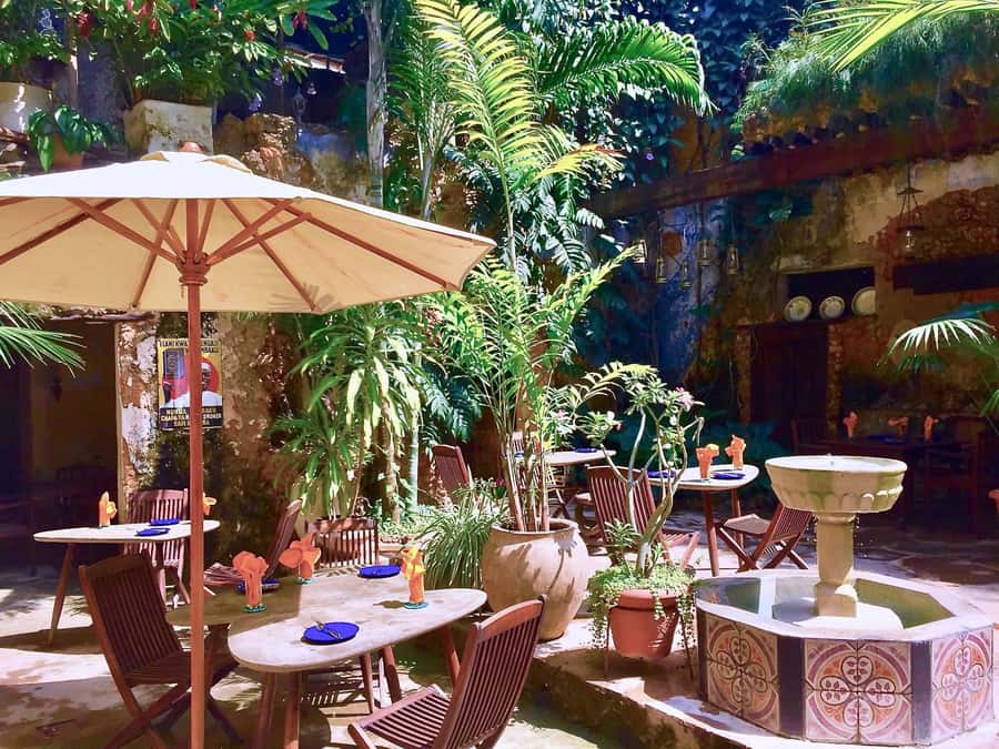 Mnemba Island, Prison Island, Secret Garden, Jozani Forest - Who will enjoy this private day most?