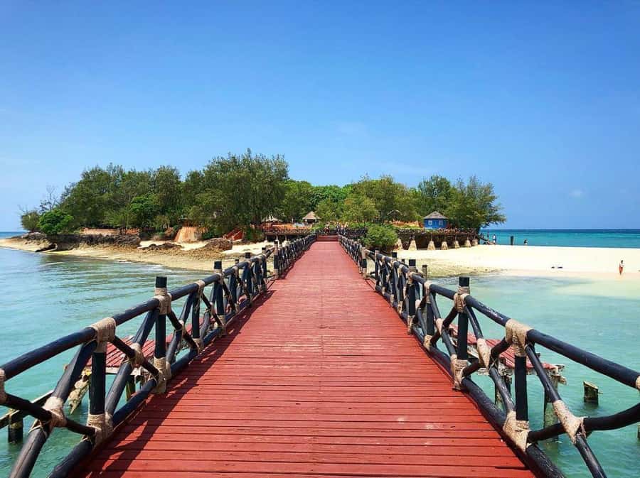 Mnemba Island, Prison Island, Secret Garden, Jozani Forest - Mnemba Atoll: dolphins, reef, and a sandbank