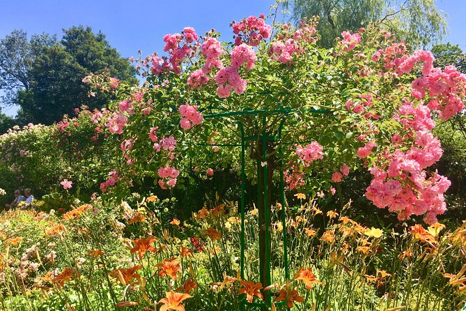 Monet's Gardens & House-Private Giverny Tour From Paris - Who should book this Giverny tour?