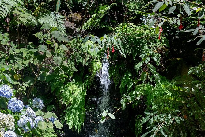 Monte Palace Tropical Garden tour with Cable Car - Riding above Funchal to Monte