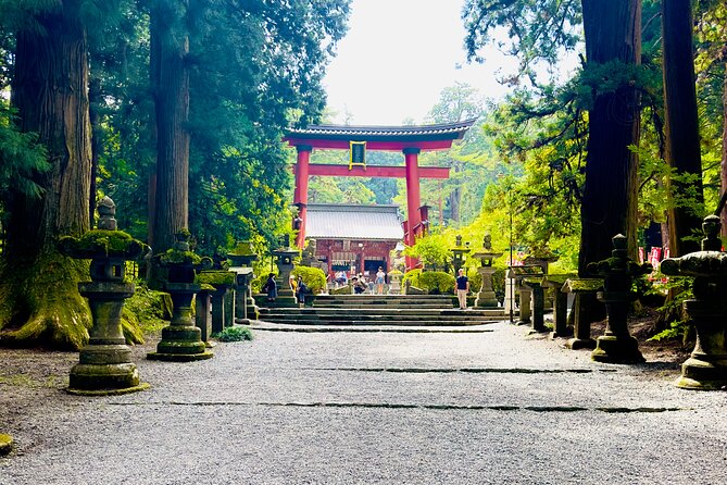 Mt. Fuji, Cherry Blossom & Shiba Sakura Pvt. Day Tour - Lake Kawaguchiko: boat rides, ropeways, and open views