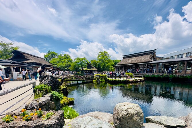 Mt. Fuji, Cherry Blossom & Shiba Sakura Pvt. Day Tour - Oishi Park and the seasonal flower calendar