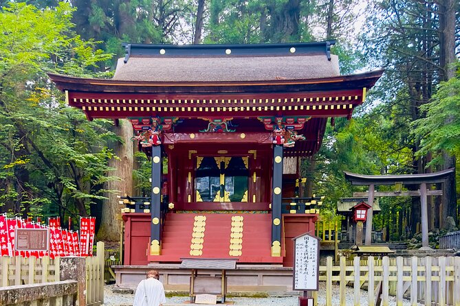 Mt. Fuji, Cherry Blossom & Shiba Sakura Pvt. Day Tour - What the guides add to the day