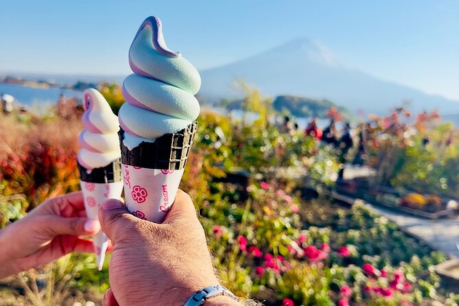Mt. Fuji & Hakone Cherry Blossom private One Day Tour - Why this private Fuji and Hakone day works