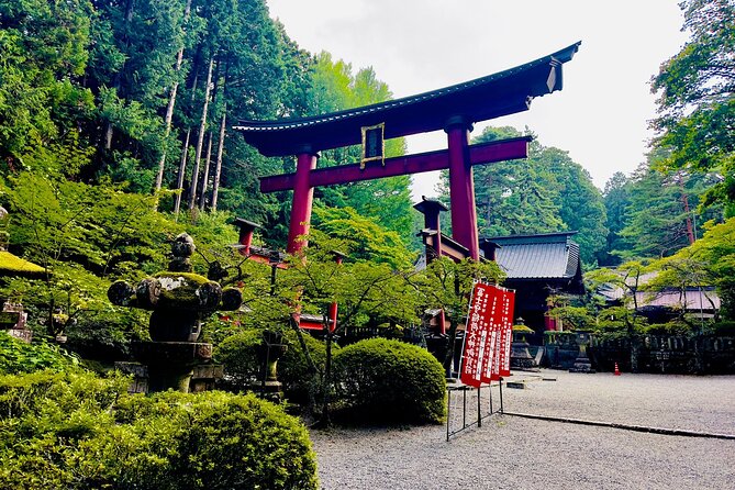 Mt. Fuji & Hakone Cherry Blossom private One Day Tour - Start early for Fuji and Hakone
