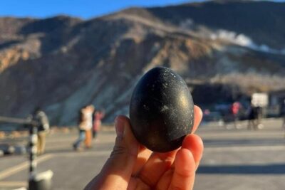 Mt. Fuji & Hakone Cherry Blossom private One Day Tour