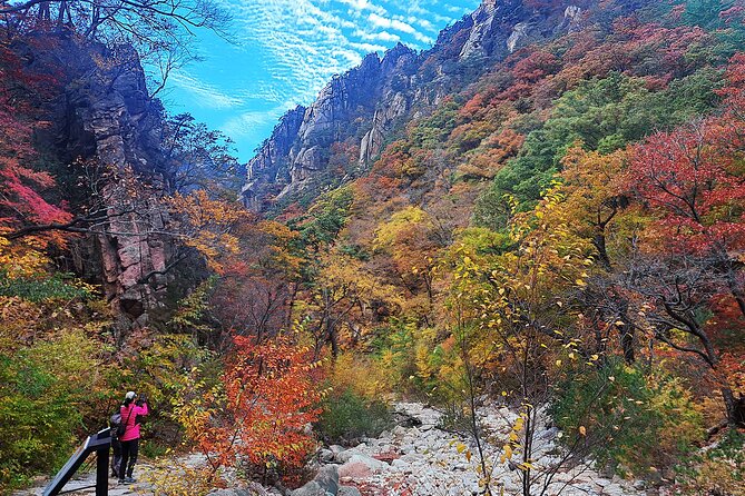 Mt. Seorak+Nami Island+Garden of Morning Calm Day Trip from Seoul - Seoraksan and Shinheungsa Temple