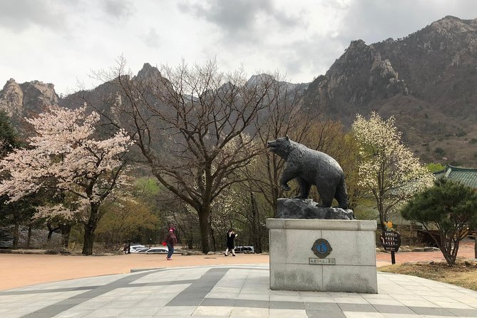 Mt. Seorak+Nami Island+Garden of Morning Calm Day Trip from Seoul - What the guides add to a packed schedule
