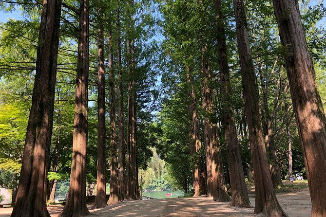 Mt. Seorak+Nami Island+Garden of Morning Calm Day Trip from Seoul - Is $95.18 a fair price?