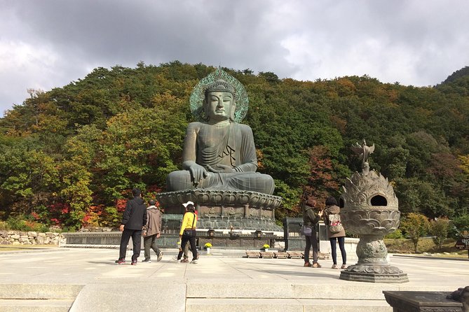 Mt. Seorak+Nami Island+Garden of Morning Calm Day Trip from Seoul - Final verdict on the Seoul nature tour