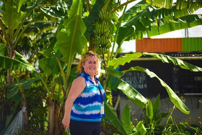 Mudbaths, Waterfall & Botanical Gardens Tour - All Inclusive - Toraille Waterfall provides the cooling finish