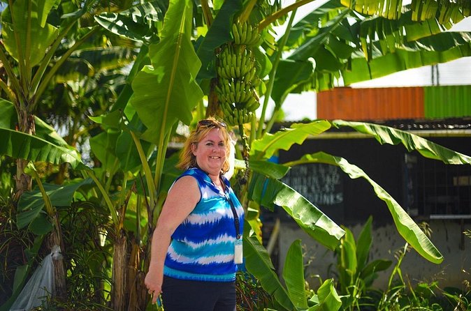 Mudbaths, Waterfall & Botanical Gardens Tour - All Inclusive - Local lunch adds real value