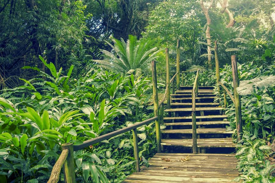 Nadi: Garden Village Hot Spring & Temple Highlights Tour - Sri Siva Subramaniya Temple sets the tone